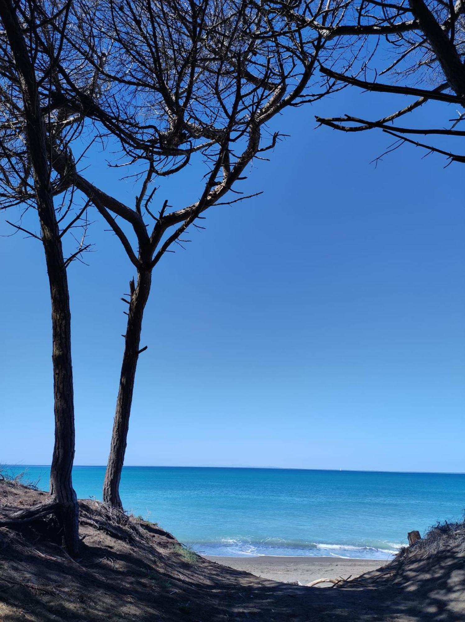 Apartamento Mare Toscano Riparbella Exterior foto